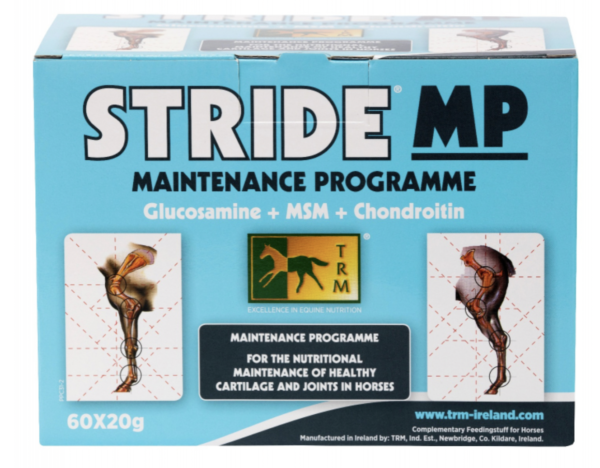 Stride MP 60 x 20g